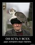     
: s3img_146634562_1182_1.jpg
: 22
:	36.8 
ID:	1936013
