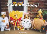     
: whatupdog.jpg
: 51
:	42.4 
ID:	1937068