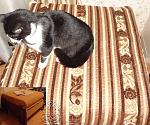     
: DSC06725.jpg
: 25
:	85.5 
ID:	1943010