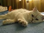     
: P9230064.jpg
: 21
:	126.9 
ID:	1947327