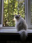     
: P9160010.jpg
: 26
:	124.1 
ID:	1947330