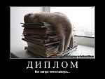     
: 61281472_1.jpg
: 77
:	47.2 
ID:	1947857