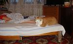     
: DSC02717.jpg
: 57
:	85.4 
ID:	1949262