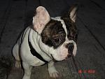     
: DSC01030.jpg
: 30
:	122.8 
ID:	1949853