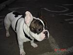     
: DSC01043.jpg
: 31
:	99.8 
ID:	1949854
