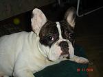     
: DSC01055.jpg
: 32
:	87.0 
ID:	1949857