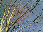    
: фото003.jpg
: 33
:	282.4 
ID:	1951315