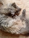     
: DSC00659.JPG
: 25
:	107.5 
ID:	1952578