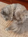     
: DSC00700.JPG
: 24
:	103.6 
ID:	1952579