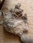     
: DSC00654.JPG
: 28
:	125.3 
ID:	1952581