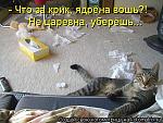     
: 5663429.jpg
: 43
:	86.4 
ID:	1953008