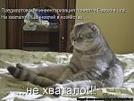     
: 5663465.jpg
: 43
:	60.3 
ID:	1953018