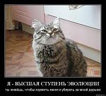     
: x_bbd77507.jpg
: 54
:	67.3 
ID:	1953629