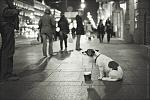     
: 4015762_large.jpg
: 32
:	198.4 
ID:	1958423