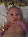     
: SAM_0362.jpg
: 84
:	78.1 
ID:	1960093