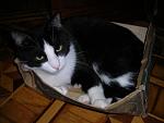     
: DSCN3173.JPG
: 24
:	143.0 
ID:	1960912