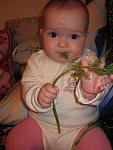     
: IMG_3131.jpg
: 13
:	76.6 
ID:	1961360