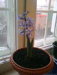     
: Фото0023.jpg
: 12
:	76.0 
ID:	1967079