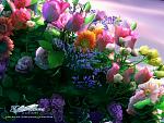     
: 165374.jpg
: 6
:	151.0 
ID:	1970379
