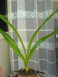     
: DSC00518.jpg
: 25
:	109.0 
ID:	1970462