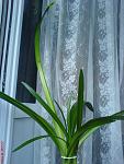     
: DSC09643.jpg
: 22
:	116.2 
ID:	1970464