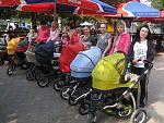     
: IMG_1212.jpg
: 79
:	193.1 
ID:	1971003