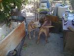     
: x_4a5c422b.jpg
: 36
:	105.9 
ID:	1971657