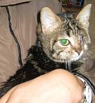     
: IMG_3081.jpg
: 43
:	95.8 
ID:	1973142