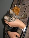     
: IMG_3107.jpg
: 42
:	92.0 
ID:	1973144