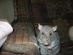     
: IMG_4758.jpg
: 33
:	110.6 
ID:	1973405