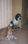    
: SWScan00014.jpg
: 43
:	99.5 
ID:	1975313