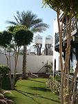     
: PC051070.jpg
: 54
:	145.9 
ID:	1984161