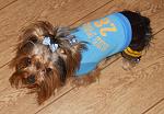     
: DSCN0070.jpg
: 37
:	156.7 
ID:	1984164