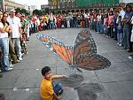     
: butterflygd.jpg
: 32
:	142.0 
ID:	198703