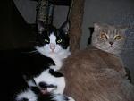     
: DSCN3191.JPG
: 48
:	165.2 
ID:	1987540
