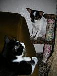     
: DSCN3195.JPG
: 51
:	143.9 
ID:	1987546
