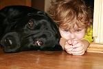     
: adea78d873cf.jpg
: 64
:	43.2 
ID:	198795