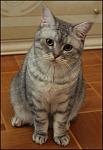     
: IMG_5883.jpg
: 26
:	47.1 
ID:	1989882