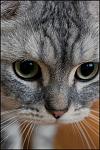     
: IMG_5907.jpg
: 24
:	60.6 
ID:	1989883