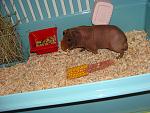     
: DSC01258.jpg
: 36
:	40.7 
ID:	1995441