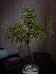     
: Изображение 012.jpg
: 16
:	269.8 
ID:	2000527