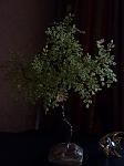     
: Изображение 010.jpg
: 18
:	122.0 
ID:	2000528