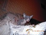     
: я6.jpg
: 26
:	264.2 
ID:	2003845