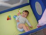     
: DSC02468.JPG
: 46
:	216.4 
ID:	2004977