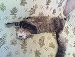     
: DSC07632.jpg
: 43
:	256.7 
ID:	2007763