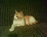     
: DSC00044.JPG
: 48
:	229.9 
ID:	2008924
