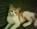     
: DSC00038.JPG
: 62
:	217.6 
ID:	2008925