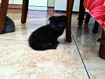     
: IMG_0002.JPG
: 32
:	221.7 
ID:	2015929