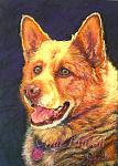     
: 500rusty.jpg
: 16
:	78.4 
ID:	2023099