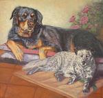     
: 500griff&harley.jpg
: 17
:	65.8 
ID:	2023101